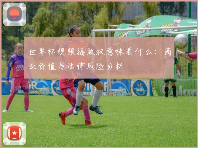 世界杯视频播放权意味着什么:商业价值与法律风险分析